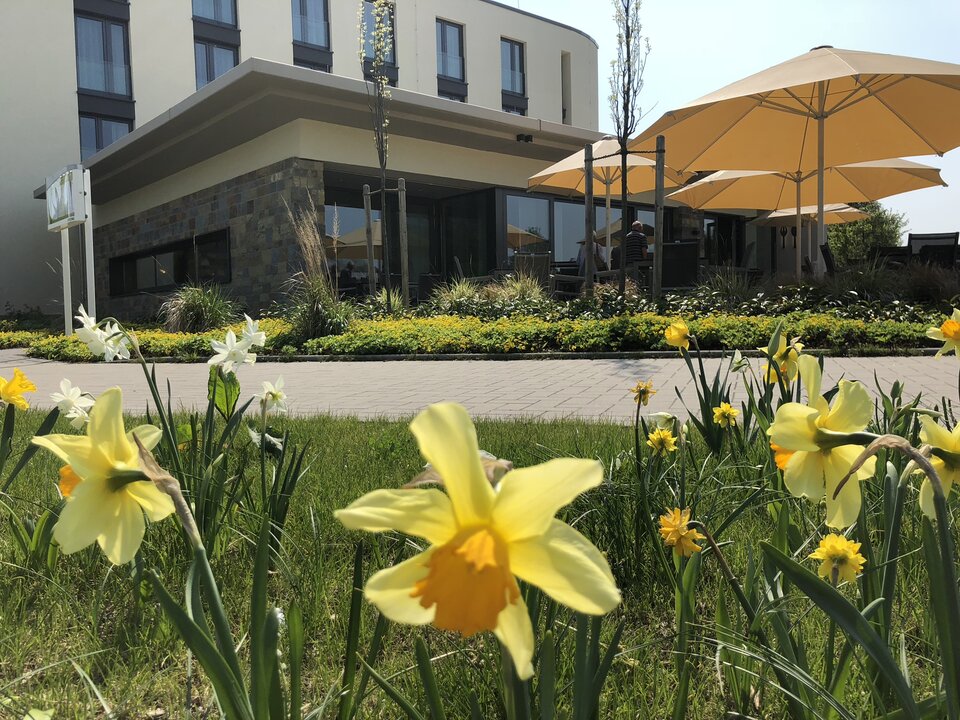 Ein modernes Gebäude mit Flachdach und großen Fenstern ist von einem üppigen Garten mit einer Vielzahl von Blumen und einem gepflasterten Weg umgeben.