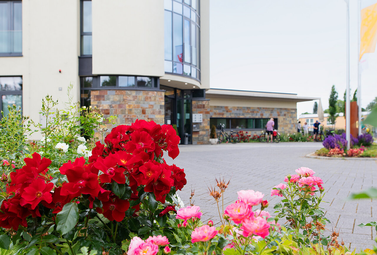 Hotel Susato - Outside view of the entrance area with flowers on the side